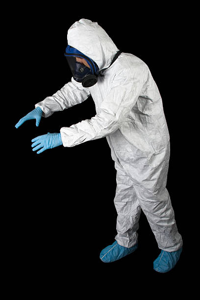 Best Black Mold Removal  in Auburn, AL