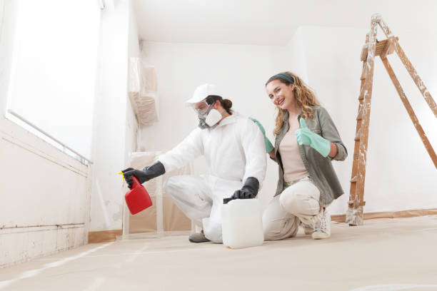 Best Environmental Consulting for Mold Prevention  in Auburn, AL
