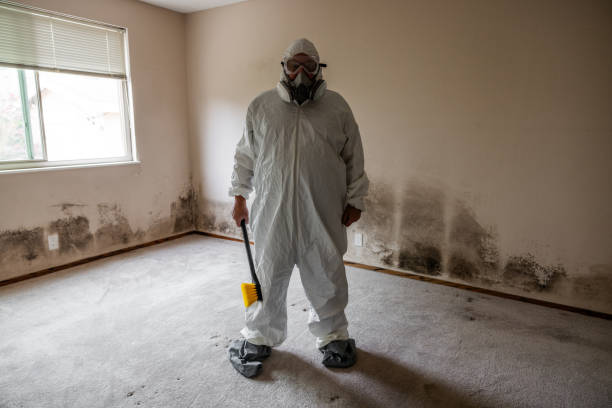 Mold Removal for HVAC Installations in Auburn, AL